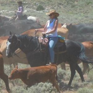 Meet your Posher, Doreen